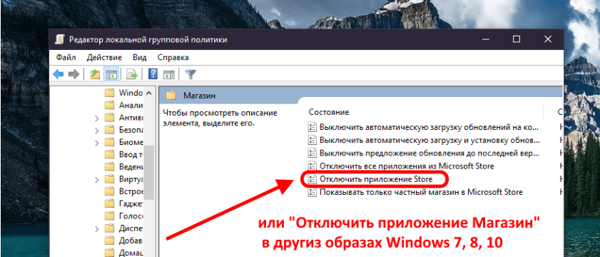 Как отключить Microsoft Store в Windows 10 без программ