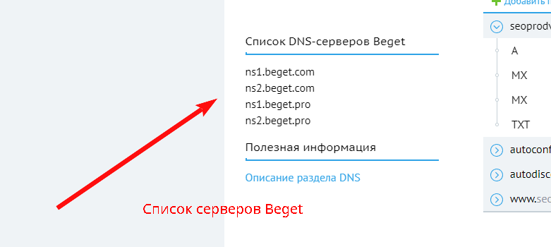 Как изменить DNS сервера на Хостинге Beget? инструкция